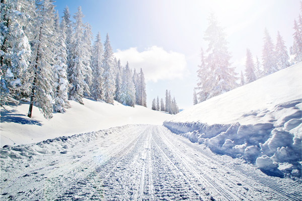 Mpo Tuoring Pola Sight Brez